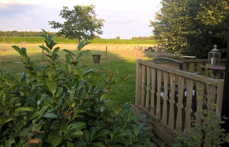 Natuurhuisje in Onstwedde