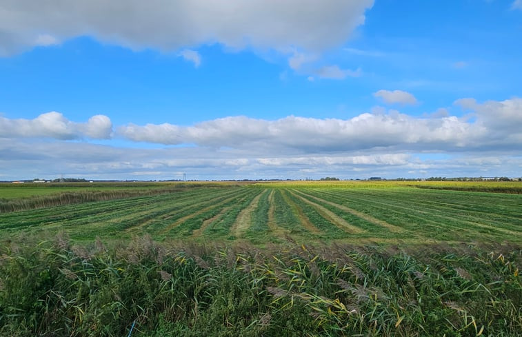 Natuurhuisje in Ouwster-Nijega