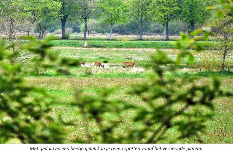 Natuurhuisje in Oude Willem