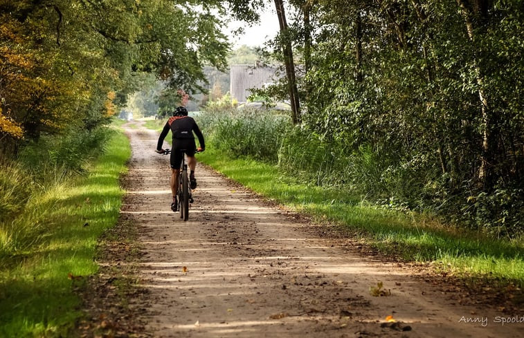 Natuurhuisje in Bornerbroek