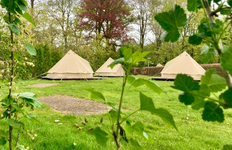 Natuurhuisje in Lochem