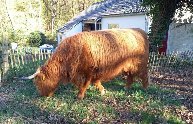 Natuurhuisje in Mook