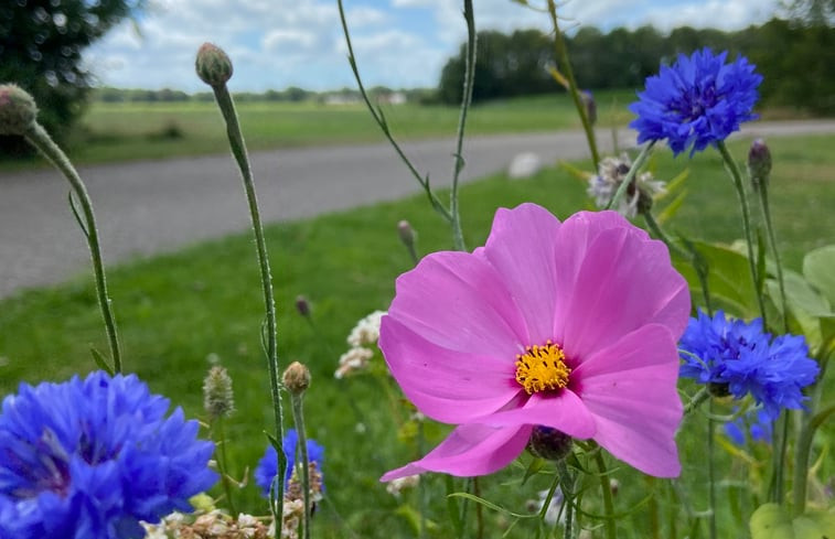 Natuurhuisje in Oldeberkoop