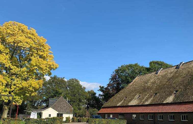 Natuurhuisje in Frederiksoord