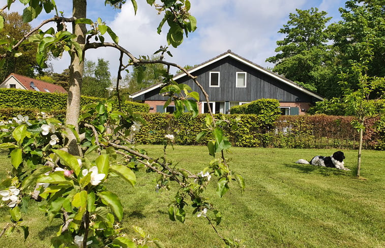 Natuurhuisje in Schoorl