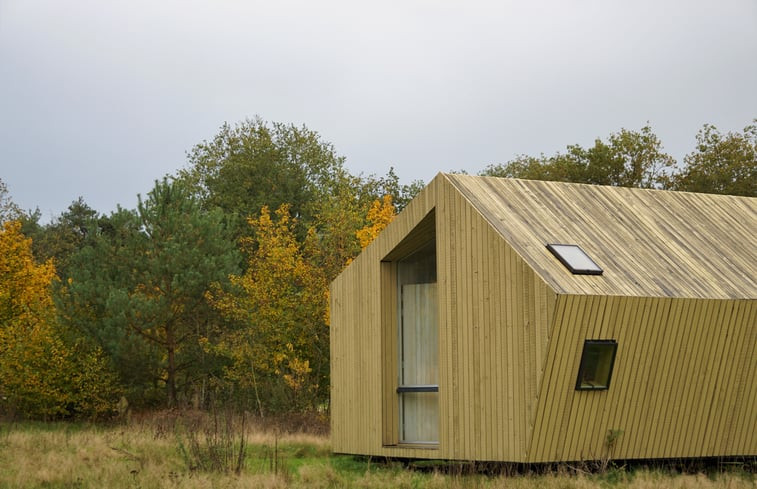 Natuurhuisje in Lemele