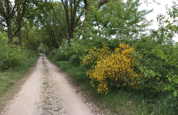 Natuurhuisje in Milheeze