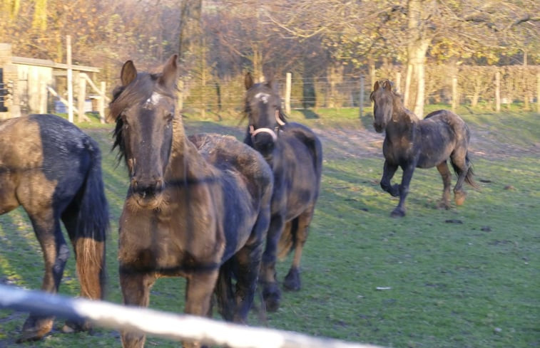 Natuurhuisje in Mesch-Eijsden