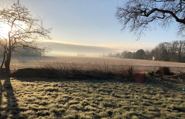 Natuurhuisje in Vriescheloo