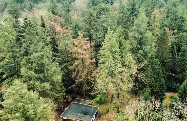 Natuurhuisje in Emst