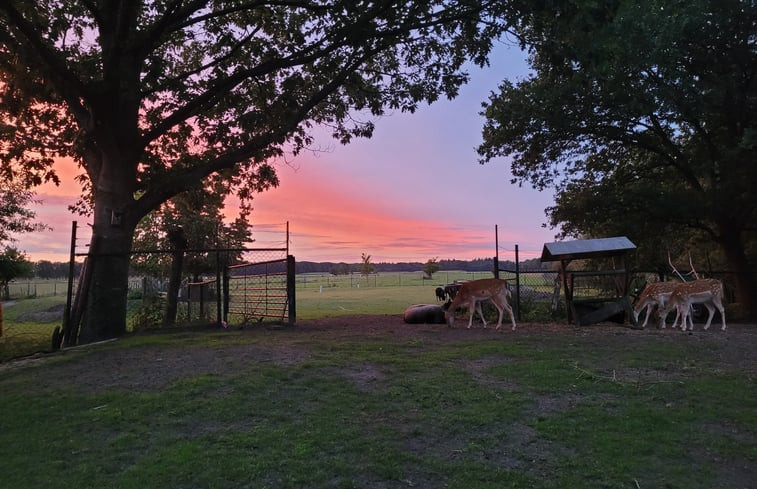 Natuurhuisje in Maartensdijk