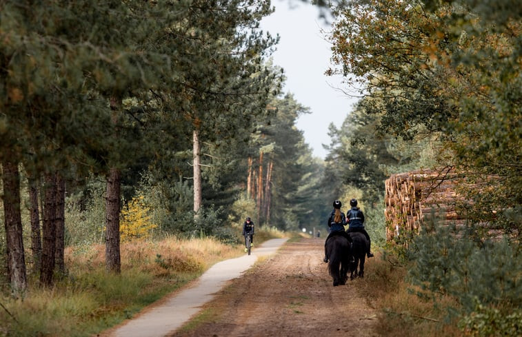 Natuurhuisje in Hapert