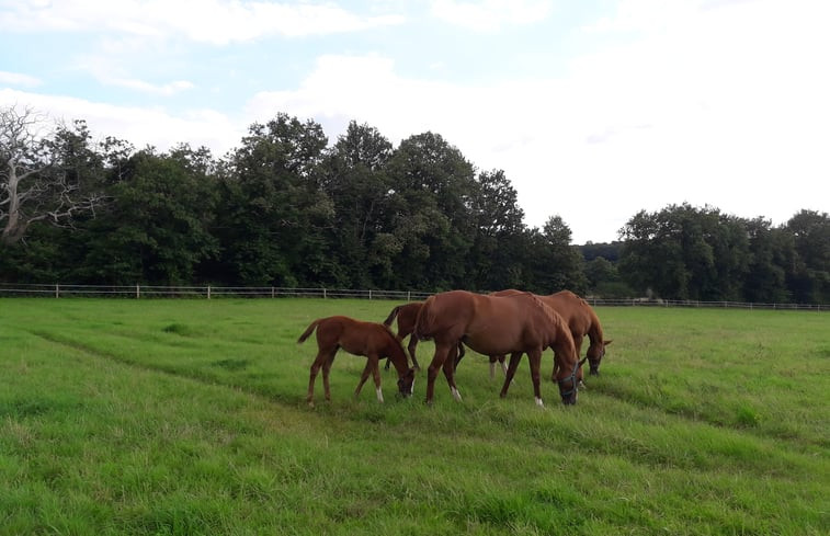 Natuurhuisje in Broc