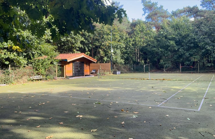 Natuurhuisje in Handel