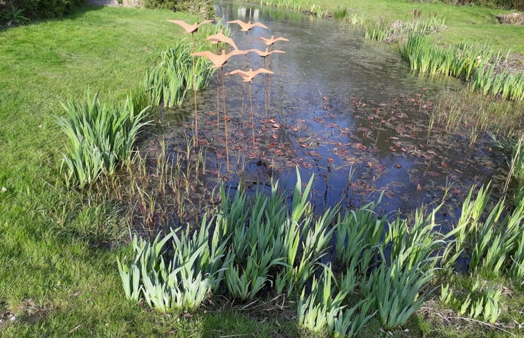 Natuurhuisje in Schoorl