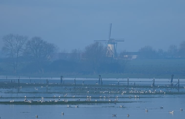 Natuurhuisje in Beveren-aan-den-IJzer