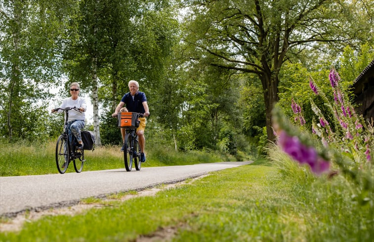 Natuurhuisje in Den Ham (Twente)