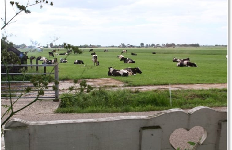 Natuurhuisje in Katwoude