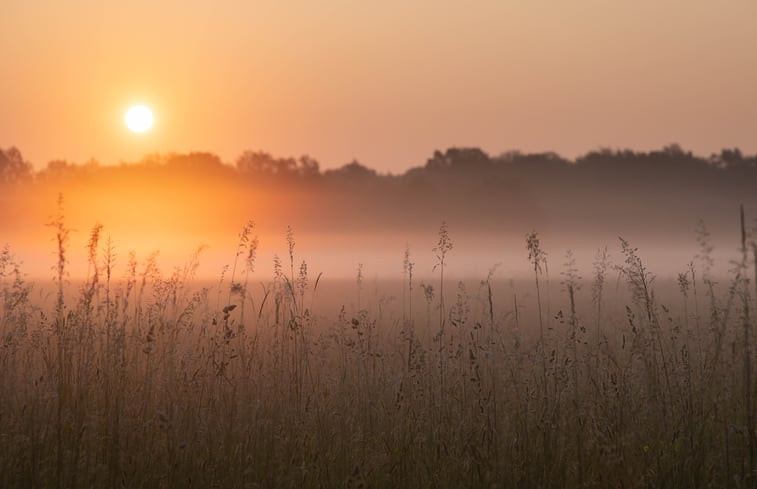 Natuurhuisje in Maarsbergen