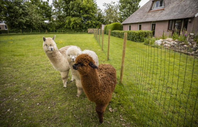 Natuurhuisje in Oudemirdum