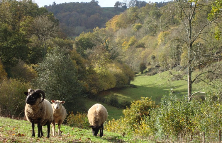 Natuurhuisje in Lenault