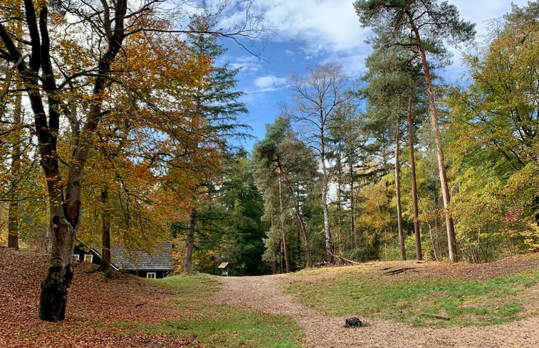 Natuurhuisje in Ommen