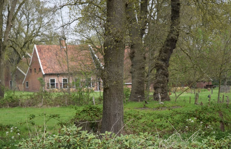 Natuurhuisje in Onstwedde