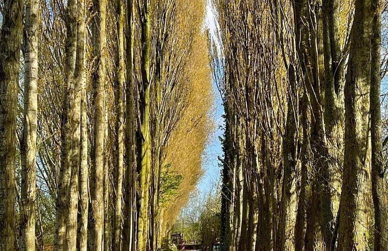 Natuurhuisje in Venhuizen