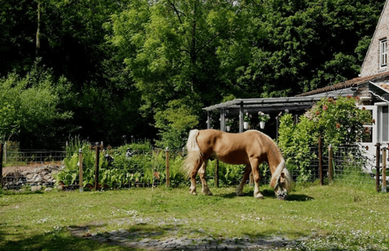 Natuurhuisje in Veere