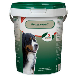 Primeval Gelatinaat voor de hond 500 g