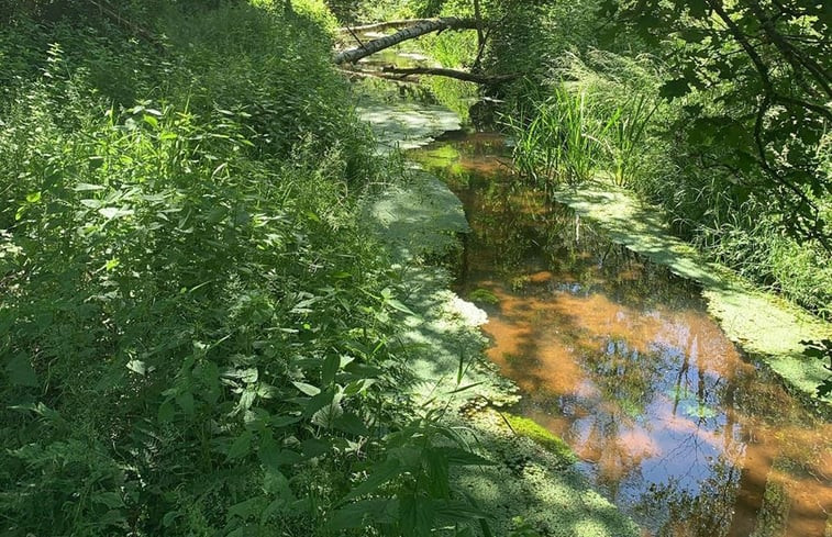 Natuurhuisje in Hechtel-Eksel