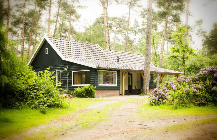 Natuurhuisje in De Lutte, gemeente Losser