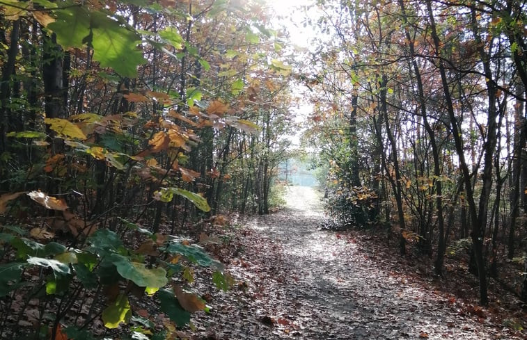 Natuurhuisje in Heerle