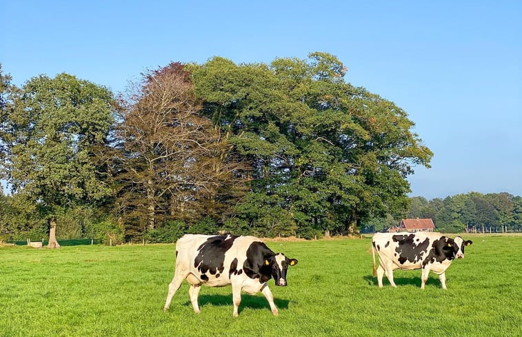 Natuurhuisje in Winterswijk