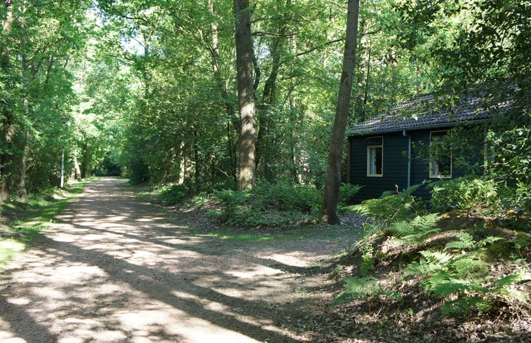 Natuurhuisje in Ruinen