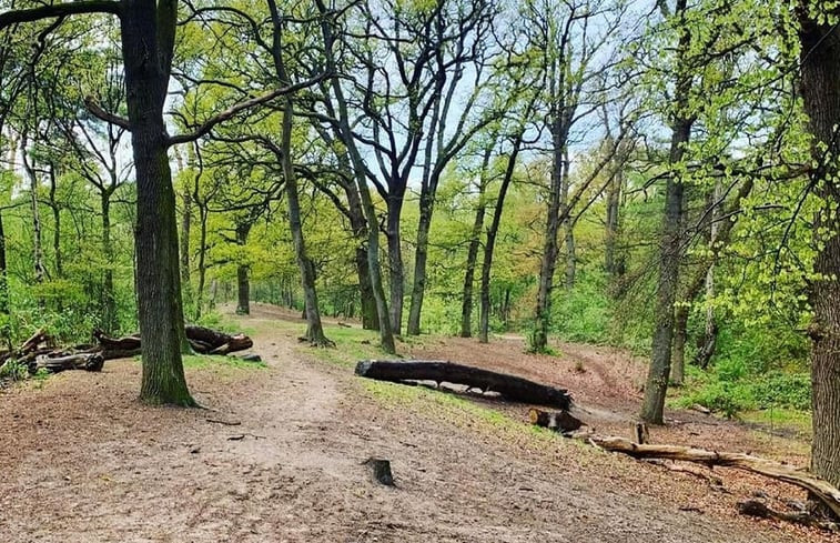 Natuurhuisje in Bornerbroek