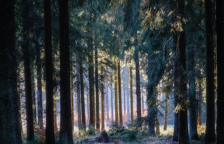 Natuurhuisje in Schleiden