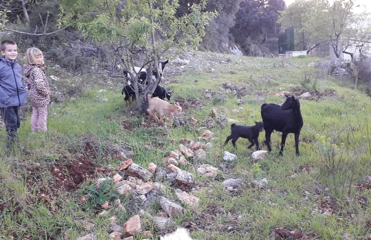 Natuurhuisje in La Vall de Laguar