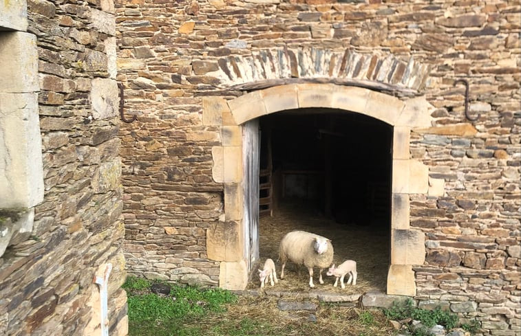 Natuurhuisje in Coupiac