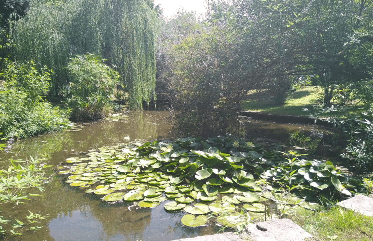 Natuurhuisje in castiglione del lago