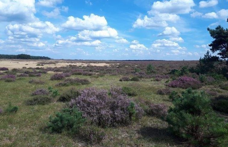 Natuurhuisje in Otterlo