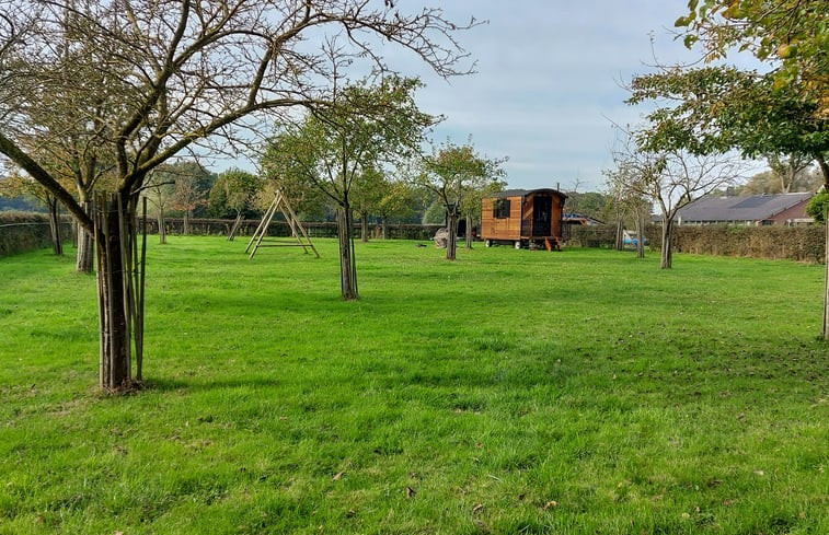 Natuurhuisje in Geesteren