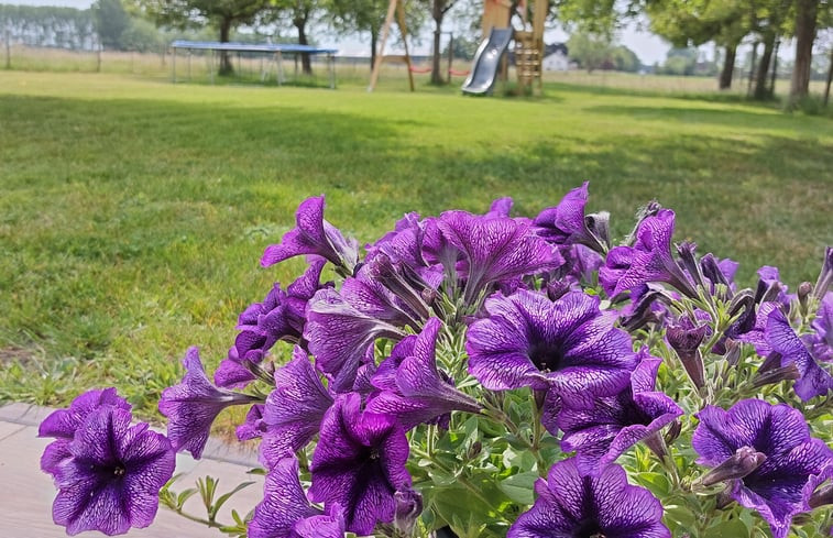 Natuurhuisje in Hoek