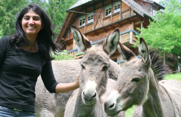 Natuurhuisje in Triberg