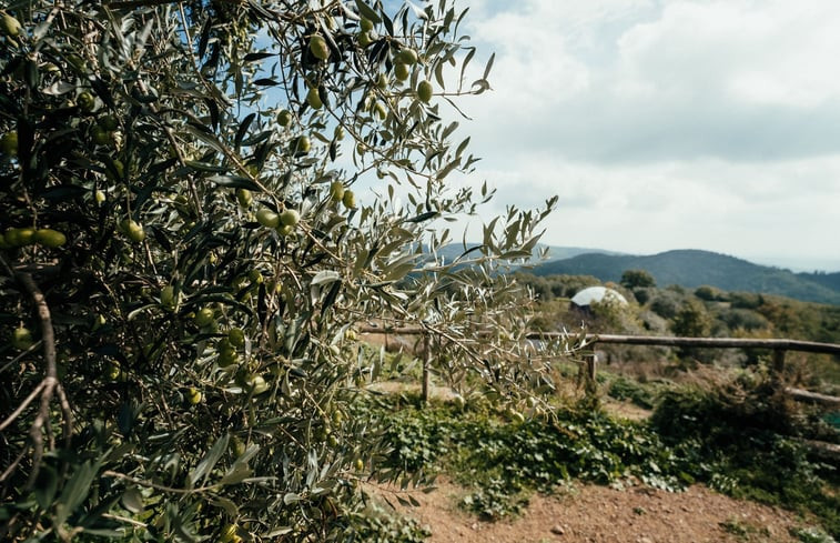 Natuurhuisje in Reggioli