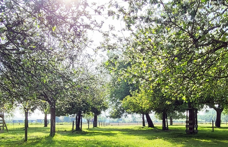 Natuurhuisje in Hoek