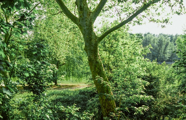 Natuurhuisje in Karlsruhe