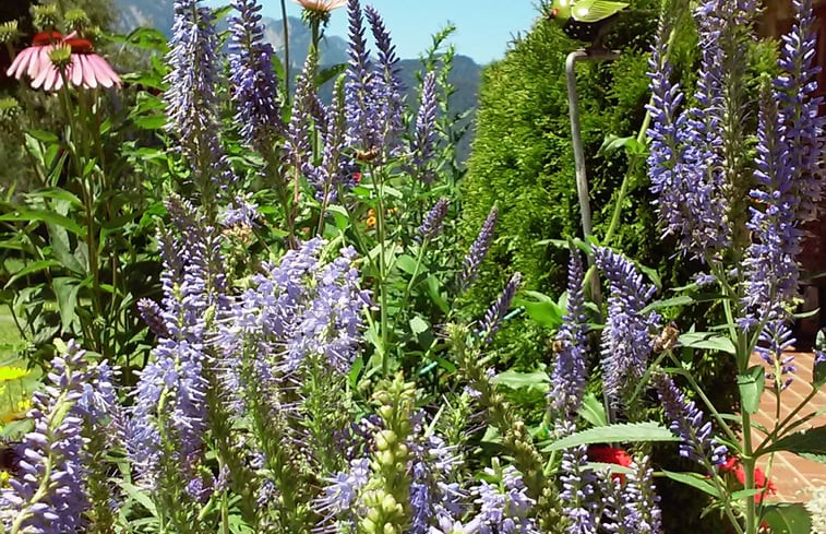 Natuurhuisje in Abtenau