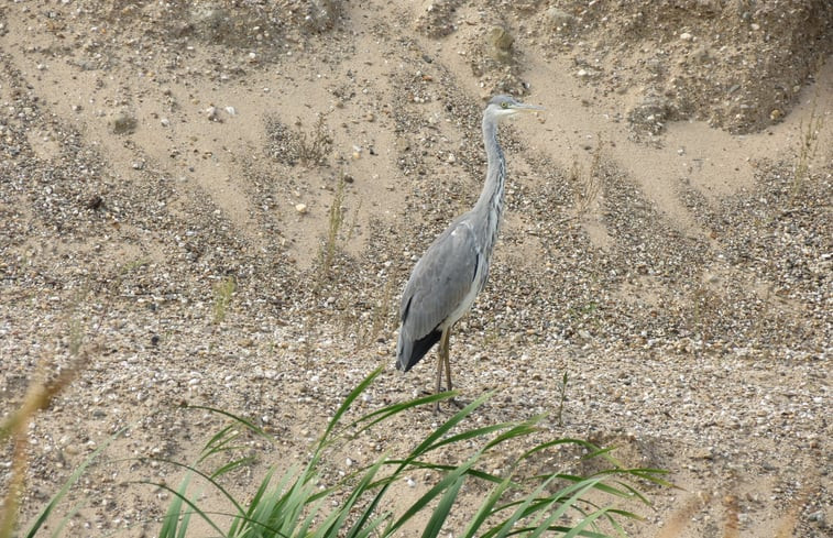 Natuurhuisje in Spijk