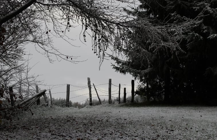 Natuurhuisje in Houffalize